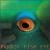 Parrot Fish Eye von Mats Gustafsson