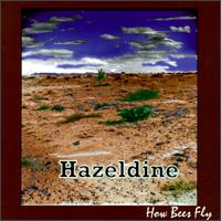 How Bees Fly von Hazeldine