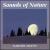 Sounds of Nature: Summer Nights von Virtual Audio Environments