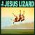 Down von The Jesus Lizard