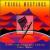 Native American & Andean Flute Music von Various Artists