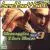 Bangin the Box, Vol. 3 von Bad Boy Bill