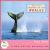 Music for Friends of the Whales von Gregor Theelen