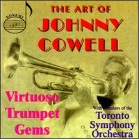 Art of Johnny Cowell von Johnny Cowell