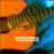 Guitarrorists von Various Artists