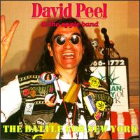 Battle for New York von David Peel