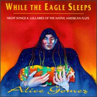 While the Eagle Sleeps von Alice Gomez