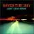Can't Slow Down von Saves the Day