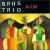 Aim von Brus Trio