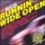 NASCAR: Runnin' Wide Open von Various Artists