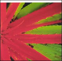 This Afternoon's Malady von Jejune