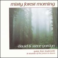 Misty Forest Morning von David & Steve Gordon