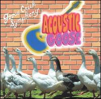 Acoustic Goose von Goose Creek Symphony