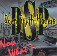 Now What? von The Down South Players