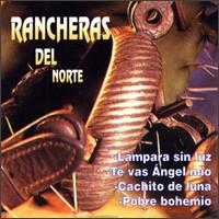 Rancheras del Norte von Martin Cavazos