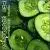 Total Vegetility von The Cucumbers