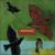 Blackbirds & Thrushes von Niamh Parsons