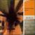 Collective Items von Bru