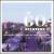 Bellavista Terrace: Best of the Go-Betweens [Bonus Disc] von The Go-Betweens