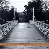 Abi Gezint von Zahava Seewald