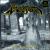 In Memorium: The Best of Venom von Venom