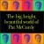 Big, Bright Beautiful World of Pat McCurdy von Pat McCurdy