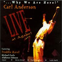Why We Are Here von Carl Anderson