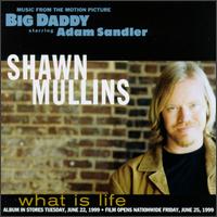 Music from the Motion Picture Big Daddy: What Is Life von Shawn Mullins