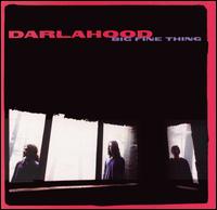 Big Fine Thing von Darlahood