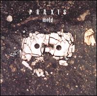 Mold von Praxis