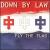 Fly the Flag von Down by Law