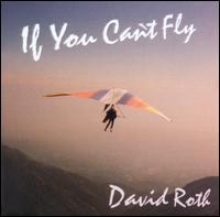 If You Can't Fly von David Roth