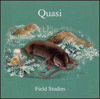 Field Studies von Quasi