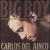 Big Boy von Carlos del Junco Band