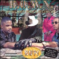 Doing Only What's Necessary von D.O.W.N.