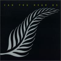 Can You Hear Us von Neil Finn