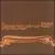 Cobra and Phases Group Play Voltage in the Milky Night von Stereolab
