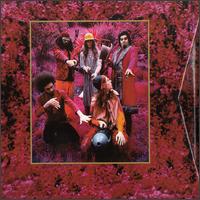 Grow Fins: Rarities (1965-1982) von Donnie Vliet