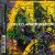 Exclamations! von Ener-Jazz