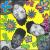 3 Feet High and Rising von De La Soul