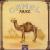 Mirage von Camel