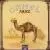 Mirage von Camel