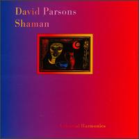 Shaman von David Parsons