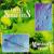 Moonlight Towers von Coffee Sergeants