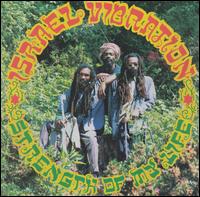 Strength of My Life von Israel Vibration