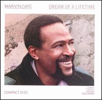 Dream of a Lifetime von Marvin Gaye