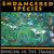 Dancing in the Trance of Life von Endangered Species
