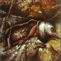 Dub Songs from a Shallow Grave von Controlled Bleeding