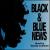 Black & Blue News von Wanda Coleman