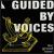 Grand Hour von Guided by Voices